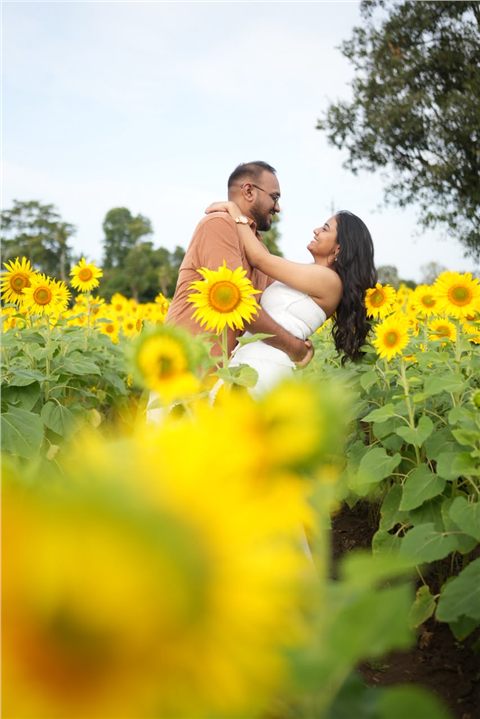 Akshay and Hansa laughing in a sunflower field