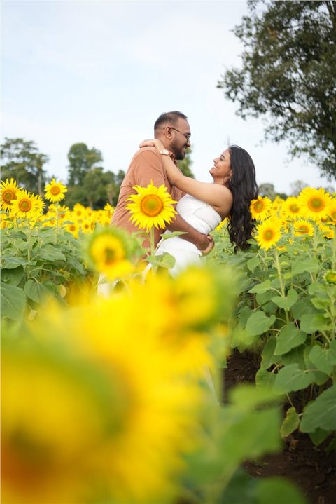 Akshay and Hansa embracing among bright sunflowers